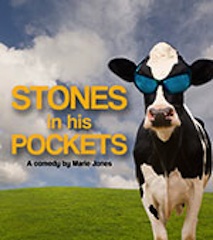 Hudson Stage Company: Stones In His Pocket