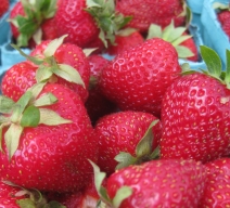 Survival_Strawberries_Do Re Me