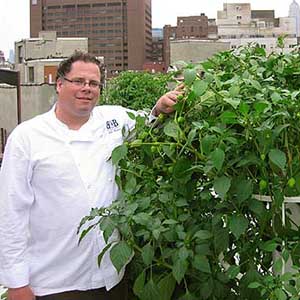 Chef John Mooney's rooftop garden in NYC