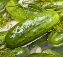 survival_freshnation_pickle licious