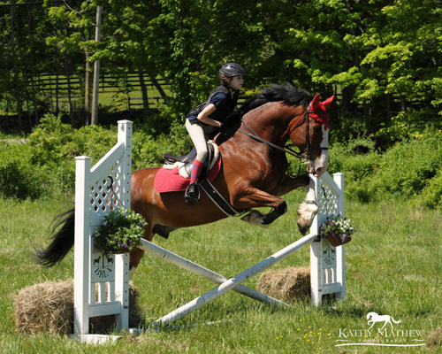 Events_BRLA April and May Events 2017 What To Do With the Kids May 2017