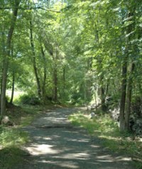 Survival_Muscoot_hike07