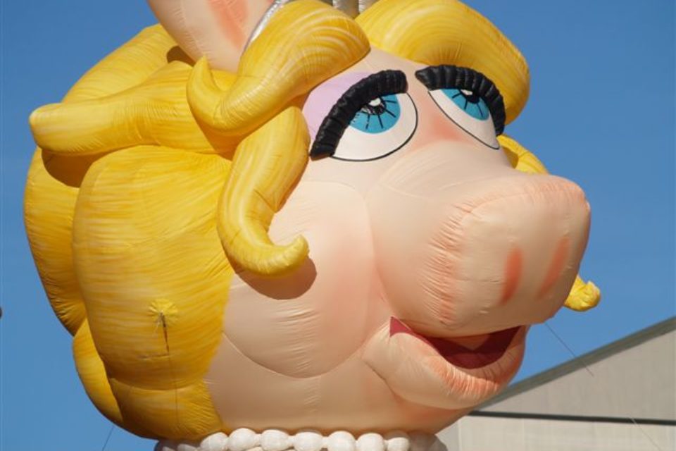 Stamford Downtown Parade Spectacular