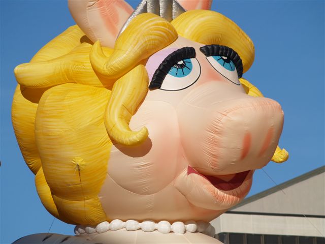 Stamford Downtown Parade Spectacular