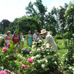 What To Do Mother's Day Weekend