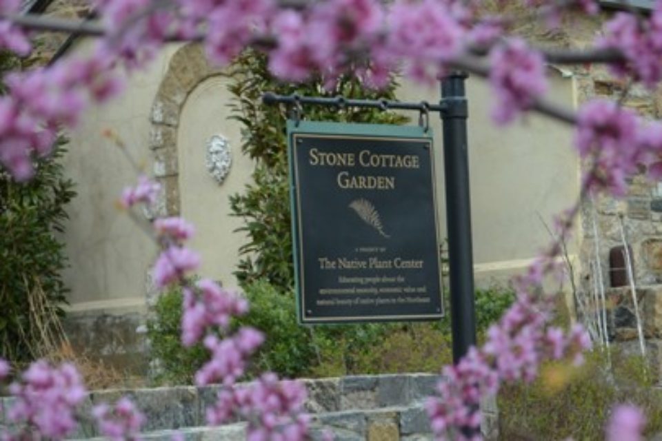 Spring Survival Checklist 2016