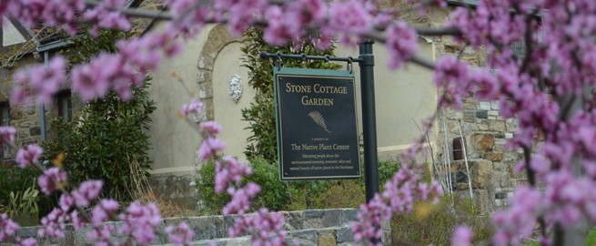 Spring Survival Checklist 2016