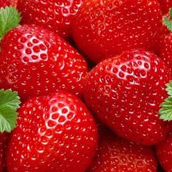 What To Do: With the Kids