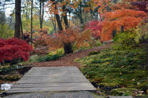 ancy Open Days Steinhardt Garden