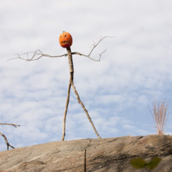 Kids_NYBG_scarecrows_pumpkins