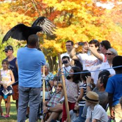 Kids_hawk_watch_greenwich_audubon