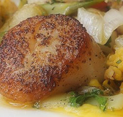 wintson_scallops