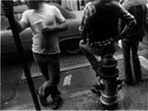 events_bruce_museum_levenstein_2003-20-09_web_no 36 (Mostly Local) February and March Events