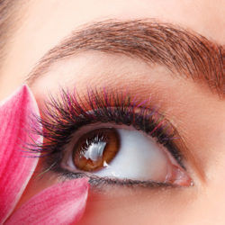Beautiful make-up with colored eyelash extension