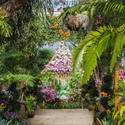 events_orchidshow_nybg Spring Events 2017