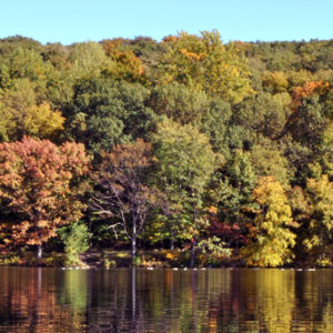 The Best Fall Events 2017 - What To Do: Armonk Bedford Chappaqua