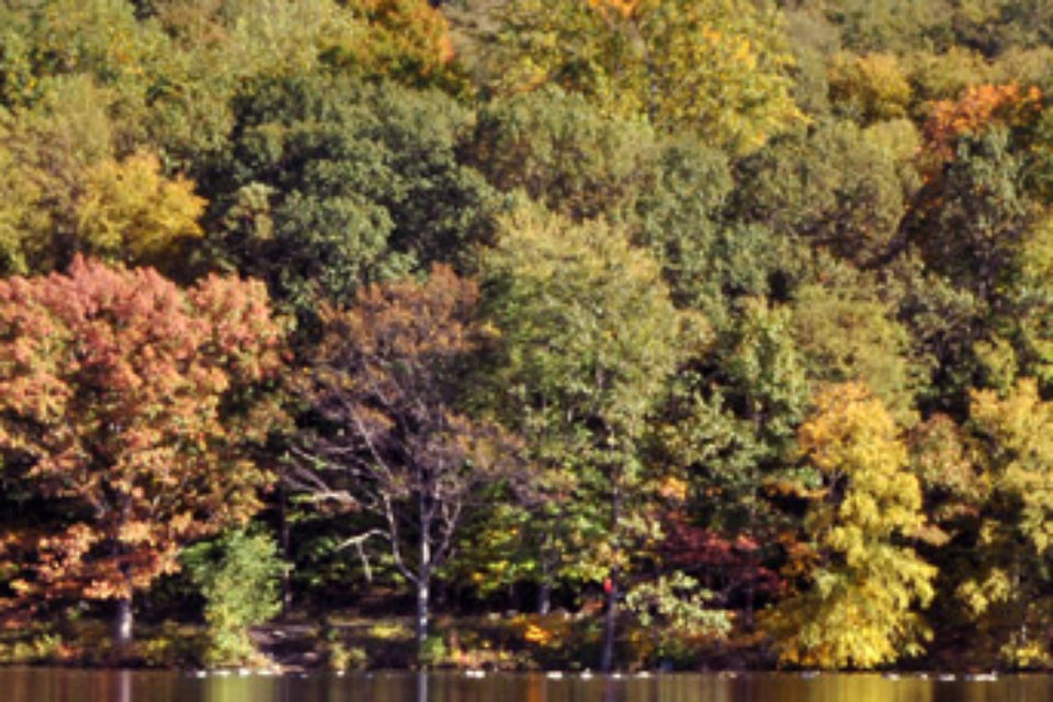 Bucket List: Rockefeller State Park Preserve - What To Do