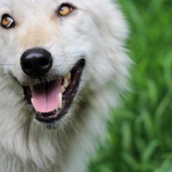 Best Nature, Science & Enrichment Camps