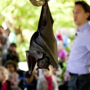 Where to celebrate Halloween 2017 