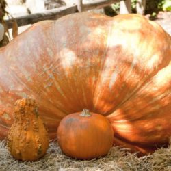 Where to celebrate Halloween 2017 