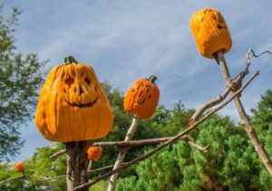 Halloween_NYBG_Scarecrows & PUmpkins 2