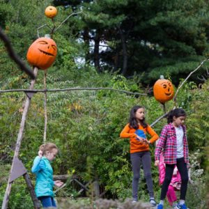 Halloween_NYBG_Scarecrows & Pumpkins  Where to celebrate Halloween 2017 