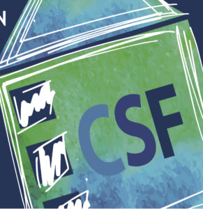 The Chappaqua School Foundation Faculty Innovator Awards