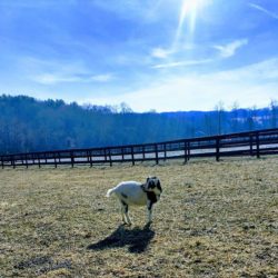 Best Menus Hudson Valley Restaurant Week Spring 2018 Best Menus Hudson Valley Restaurant Week Fall 2018