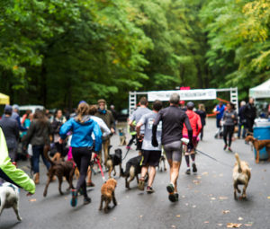 21 Local Road & Trail Races