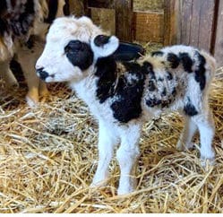 May Kids Events 2018