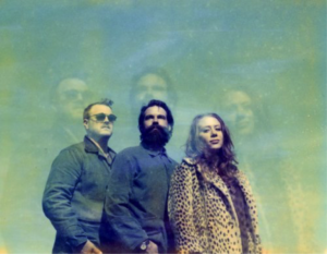 Pleasantville Music Festival - New York's Backyard Jam!