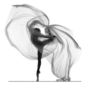 Bucket List The Armonk Outdoor Art Show