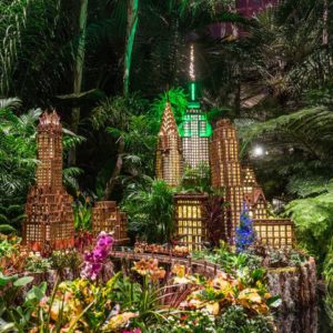 What To Do With The Kids Fall 2018