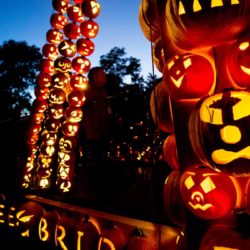 Westchester's Best Halloween Events Guide 2018 What To Do Thanksgiving Weekend