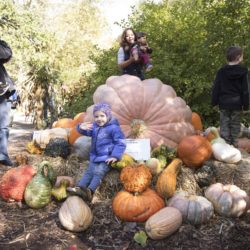 Westchester's Best Halloween Events Guide 2018