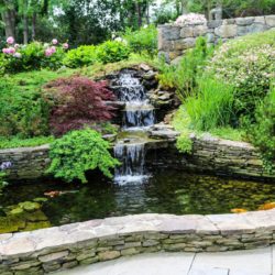 The Best Landscapers, Arborists and Lawn Doctors