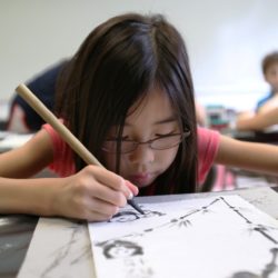 Harvey Cavalier Camp: What the Good Camps Offer