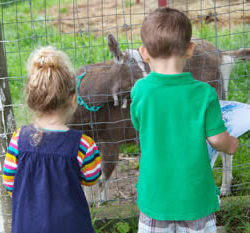 Best Nature, Science & Enrichment Camps