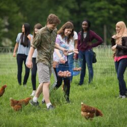 Best Nature, Science & Enrichment Camps