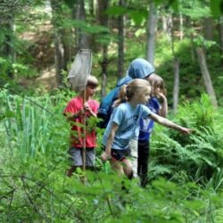 Best Nature, Science & Enrichment Camps