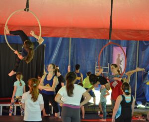 Harvey Cavalier Camp: What the Good Camps Offer