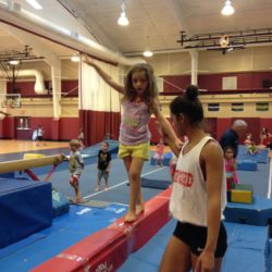 Harvey Cavalier Camp: What the Good Camps Offer