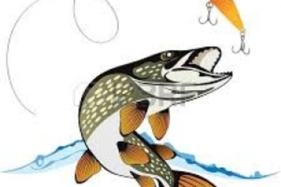Bedford Fishing Derby