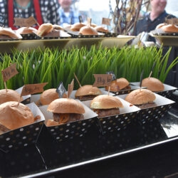 Essential June Events for Adults