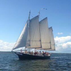 Essential June Events for Adults