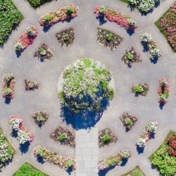 Essential June Events for Adults