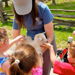 Must See Nature & Science Exhibits and After-School Programs