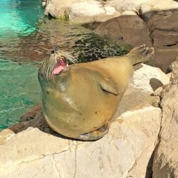 Must See Nature & Science Exhibits and After-School Programs