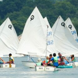 Must See Nature & Science Exhibits and After-School Programs