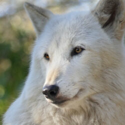 Must See Nature & Science Exhibits and After-School Programs